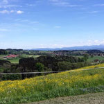 Herrlicher Blick in die Berge