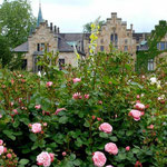 Schloss Ippenburg (Foto: Ellen Becker)