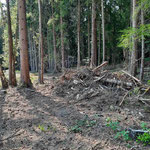 Restholzhaufen