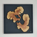 Holzbild 5 mit Pflaumenholz, 50x50 cm 2026