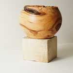 Aufpfropfknolle Apfel  15x10 cm 2022-10-01/1-1