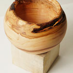 Aufpfropfknolle Apfel  15x10 cm 2022-10-01/1-3