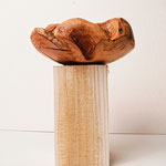 Apfel 15/6 cm / 1  2022-09