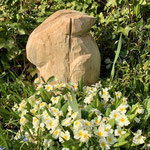 Hase 2, 25 cm, 2020-05