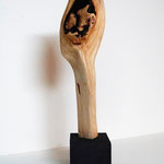 Buche 2022-11-01/1 33 cm hoch