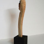 Buche 2022-11-01/2 33 cm hoch