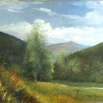 Dintorni di Verona, 30x40 - 1954
