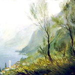 Lago di Lecco, proprietà privata