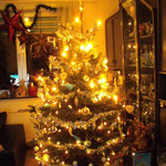 Weihnachtsbaum 2013