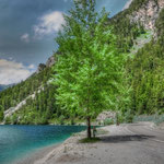 The Plansee Austria