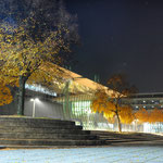 The Tree's - Expo Plaza Hanover