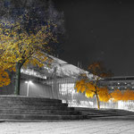 The Tree's - Expo Plaza Hanover