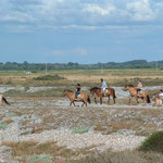 balade a cheval sur des Hensons