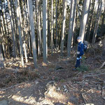 大文字山山頂から熊山に向かう。獣道をおりてしまったが、登山道があったようです。
