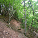 2022.5.16.　トラバースする登山道。やや分かりにくい。
