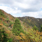 比良の稜線はすっかり紅葉