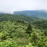 籾糠山山頂より
