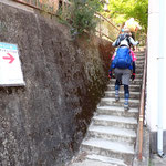 　新関屋橋を出発して間もなくの階段。コンクリートだ