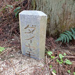半分以上埋もれたダイトレの石柱