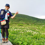 弥陀ヶ原でコバイケイソウをバックにK森さん