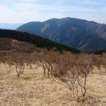 葛城山山頂遊歩道から金剛山