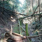 壊れかけの木の橋