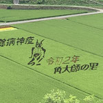 田んぼアート