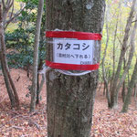 カタコシ峠