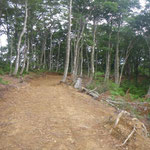 庄部谷山へ続く作業道