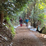 整備された登山道は歩きやすいです