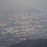 大野の田んぼ