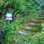 藤川谷登山口
