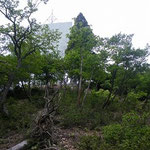 28.やっと反射板・・もう2時前だ。
