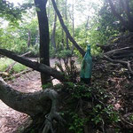 36. 道標のそばに何故か一升瓶が・・。これも目印なのだろうと思うことにして置いてきた。(笑)