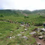 伊吹山登山道