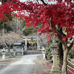 朝日神社と紅葉