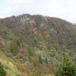 フジハゲ
