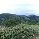 神坂山富士見台方面