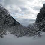 たっぷりの新雪。M