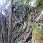 ②広河原から白鳳峠までの登山道のはしご