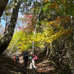 これぞ紅葉山行