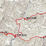 2204茨川~藤原岳西尾根~迷い尾根