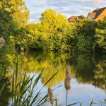 Mühlenteich