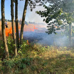 Foto: Freiwillige Feuerwehr Merzen