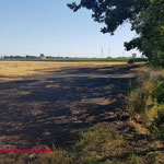 Foto: Freiwillige Feuerwehr Merzen