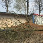 Foto: Herbert Kempe 