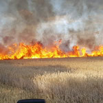 Foto: Freiwillige Feuerwehr Merzen 