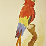 Aquarel·la
