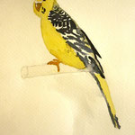 Aquarel·la