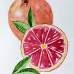 Aquarel·la